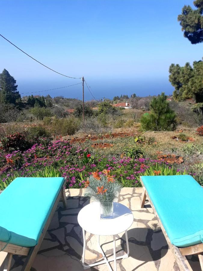 Casa Flor Azul Villa Las Tricias Eksteriør billede