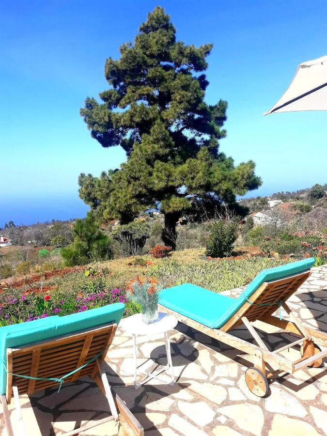 Casa Flor Azul Villa Las Tricias Eksteriør billede